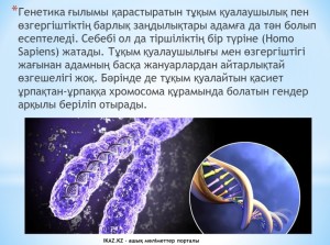 Адам генетикасы туралы мәлімет
