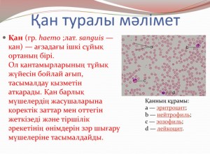 Қан туралы мәлімет