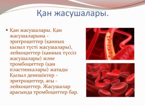 Қан жасушалары