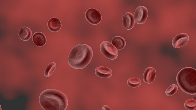 red-blood-cell